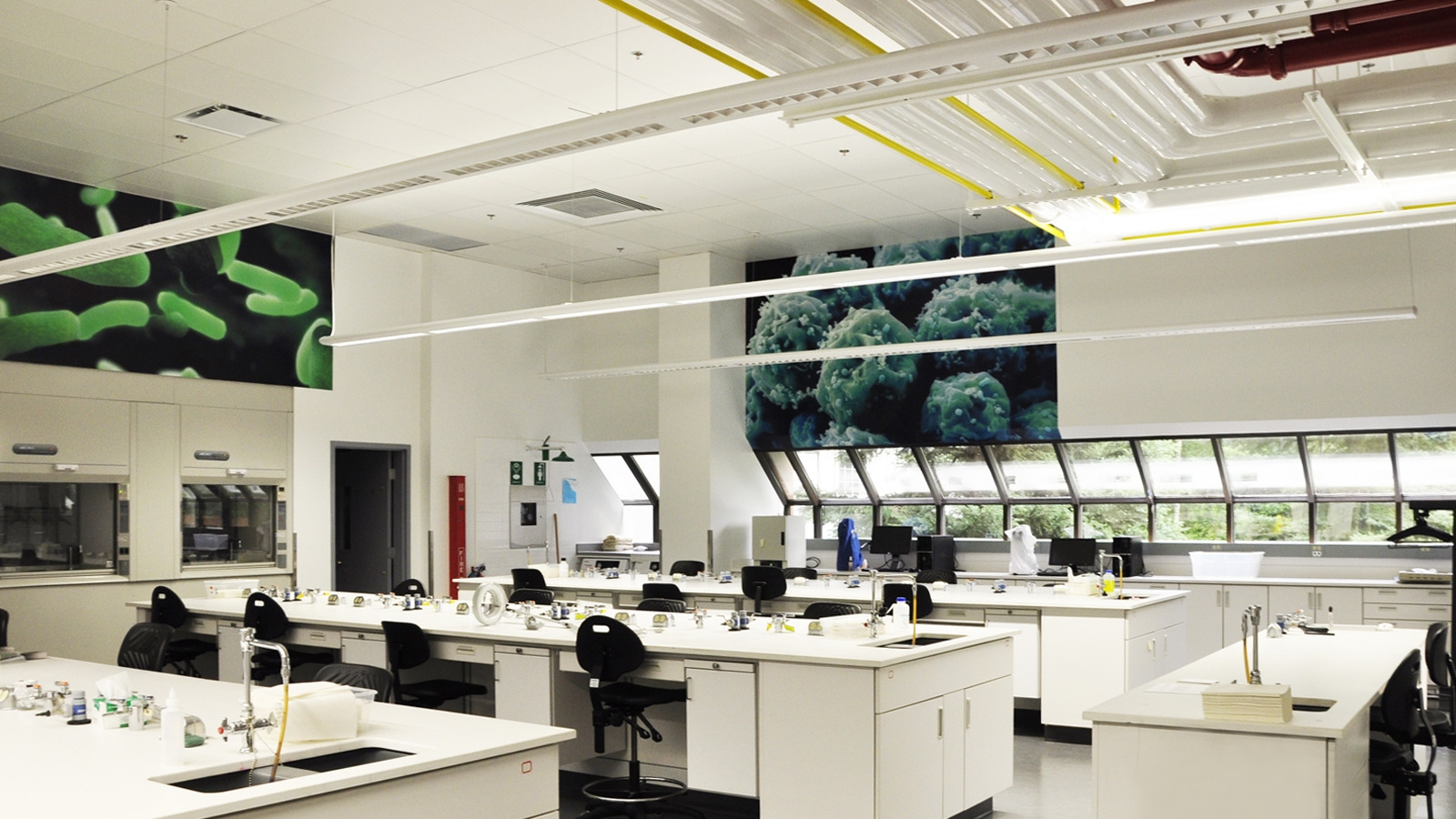 Campus Lab SELAMED